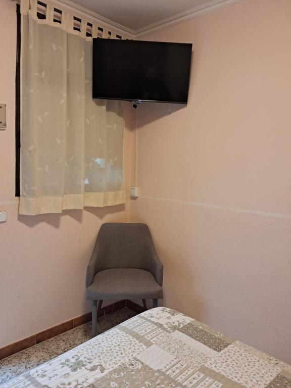 Hostal i Apartaments Populetus - Standard Single Room