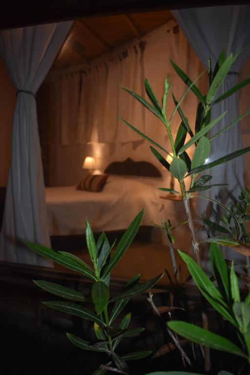 a bedroom with a bed and a plant in the foreground at Refugio Alana Máncora in Máncora