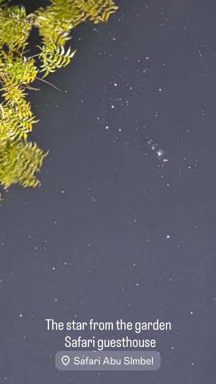 Safari Abu Simbel - 5