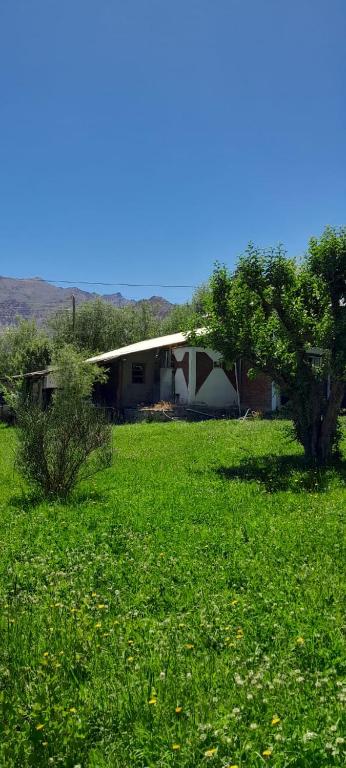 a house in the middle of a field of grass at Cabañas Jardín del Neuquén in Huinganco