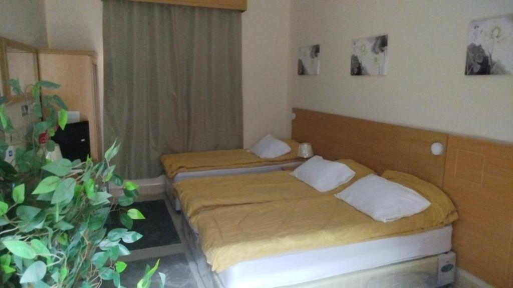 a bedroom with two beds and a potted plant at EL Salam in Hotel Apartment 6 in Sharjah