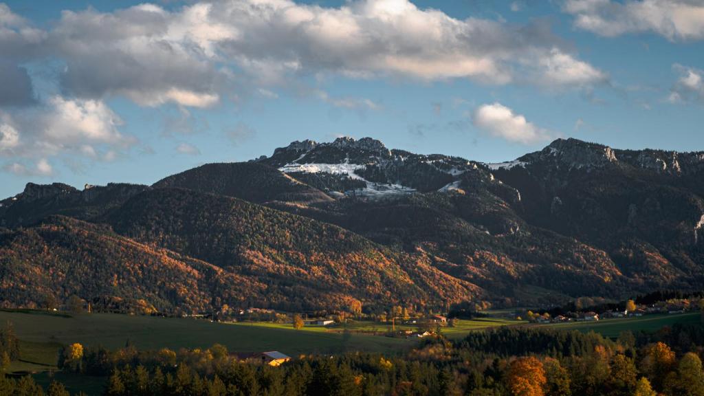 a view of a mountain range with trees and mountains at Servus Chiemgau - Große Wohnung mit Bergblick in Frasdorf