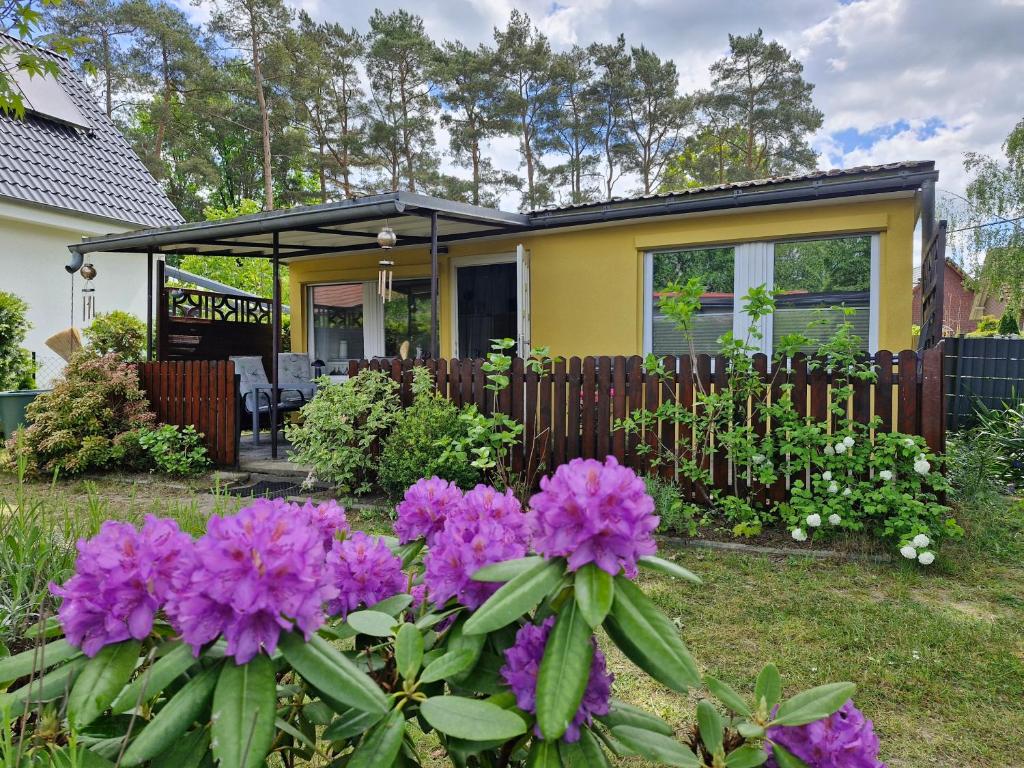 a house with purple flowers in the yard at Ferienhaus Marc in Göhren-Lebbin