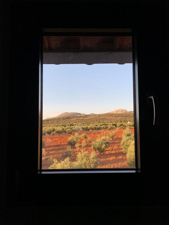 La Guzmana de Ronda - 19