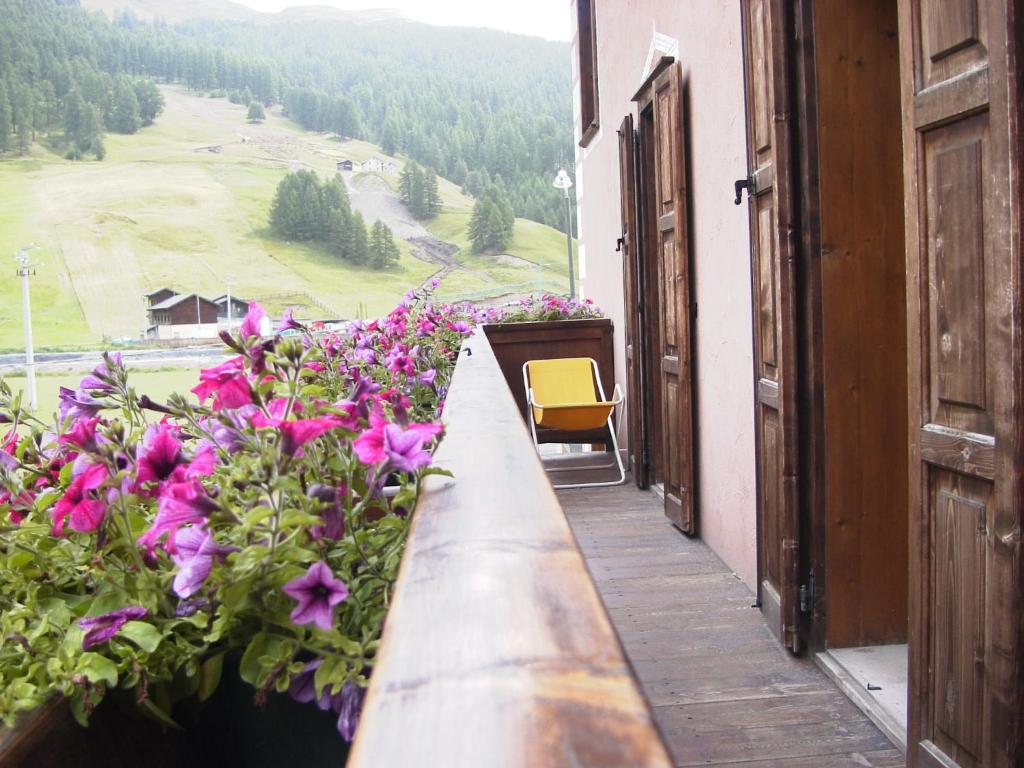 Příroda nedaleko hotelu