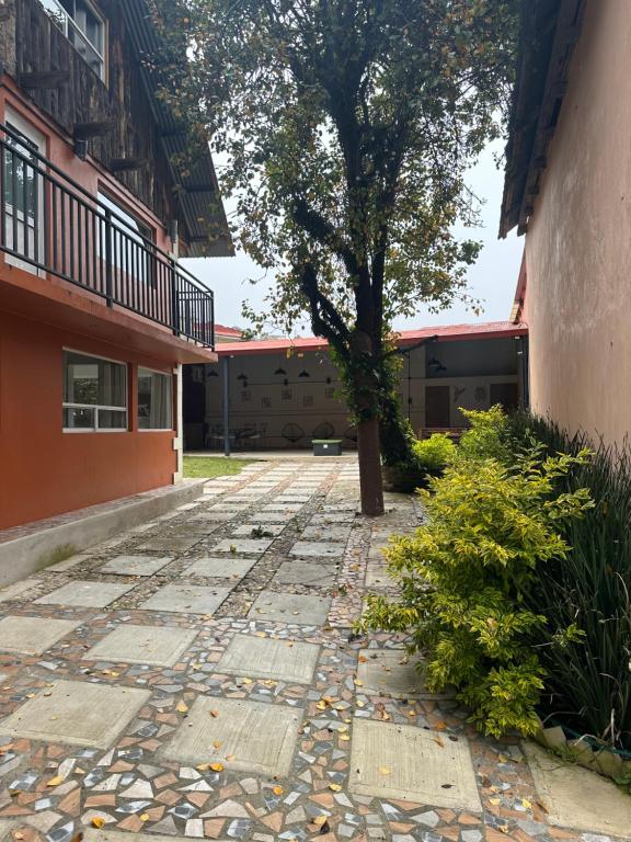 a tree on a sidewalk next to a building at La Escondida Cabañas in Mineral del Monte