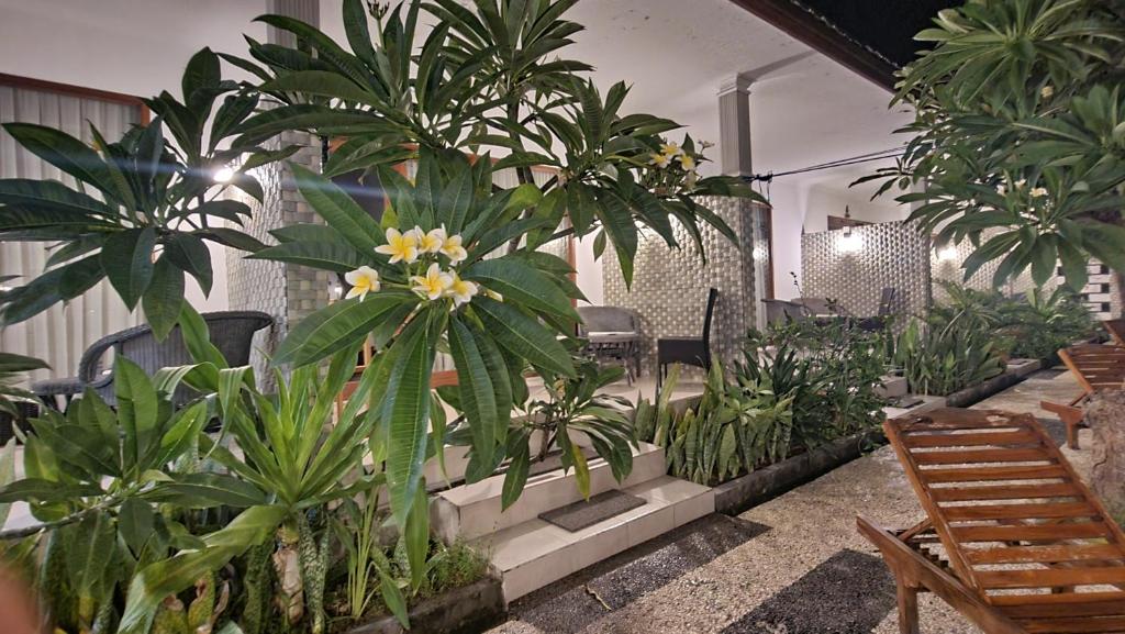 Villa Pine Tree - 11