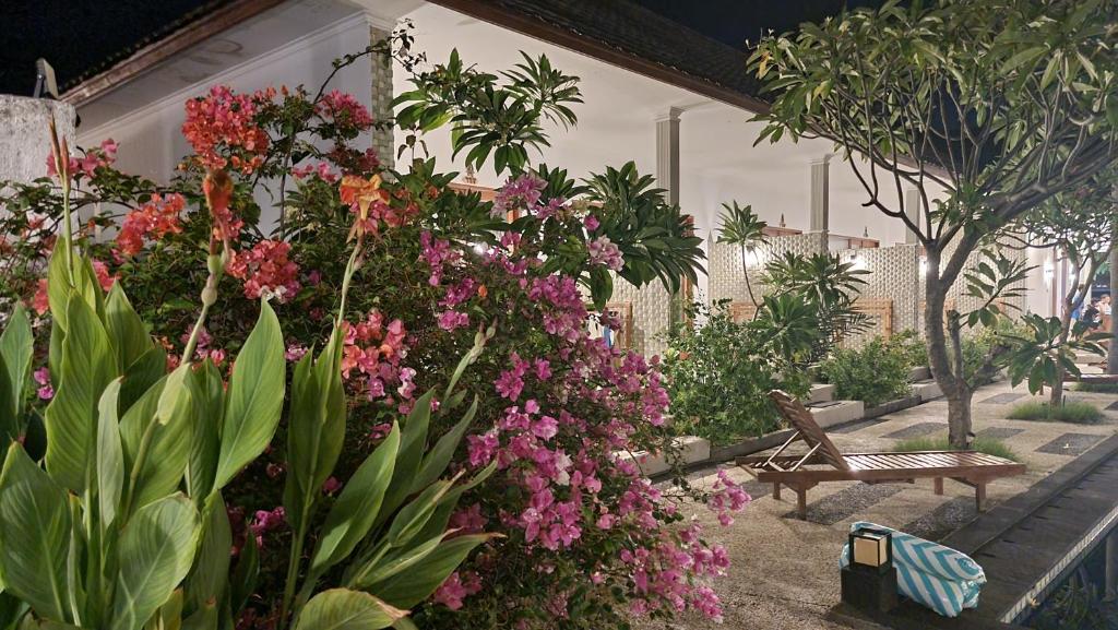 Villa Pine Tree - 13