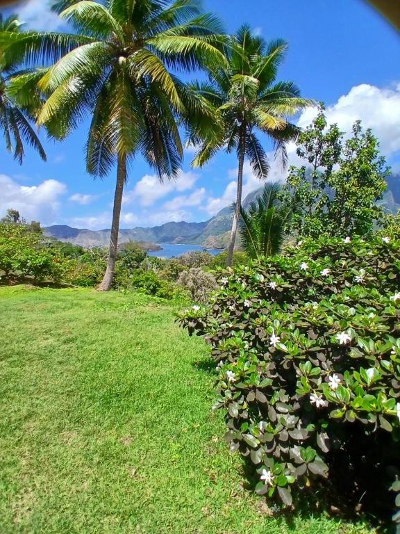 Hiva Oa Villa Lodge, Hiva Oa - photo 12 - Hiva Oa, Polynésie