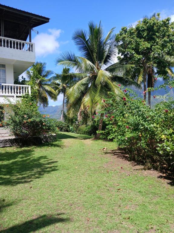 Hiva Oa Villa Lodge, Hiva Oa - photo 11 - Hiva Oa, Polynésie