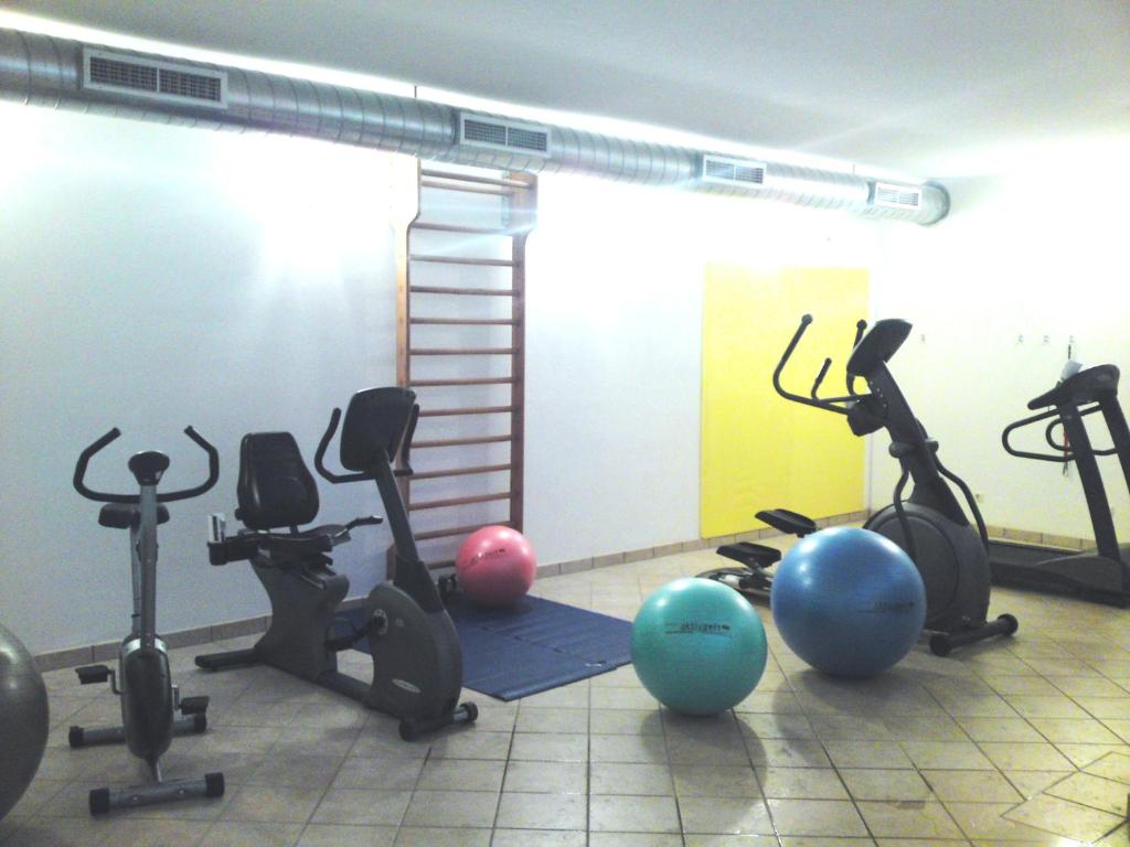 Fitness centrum a/nebo fitness zařízení v ubytování Alpentirolis