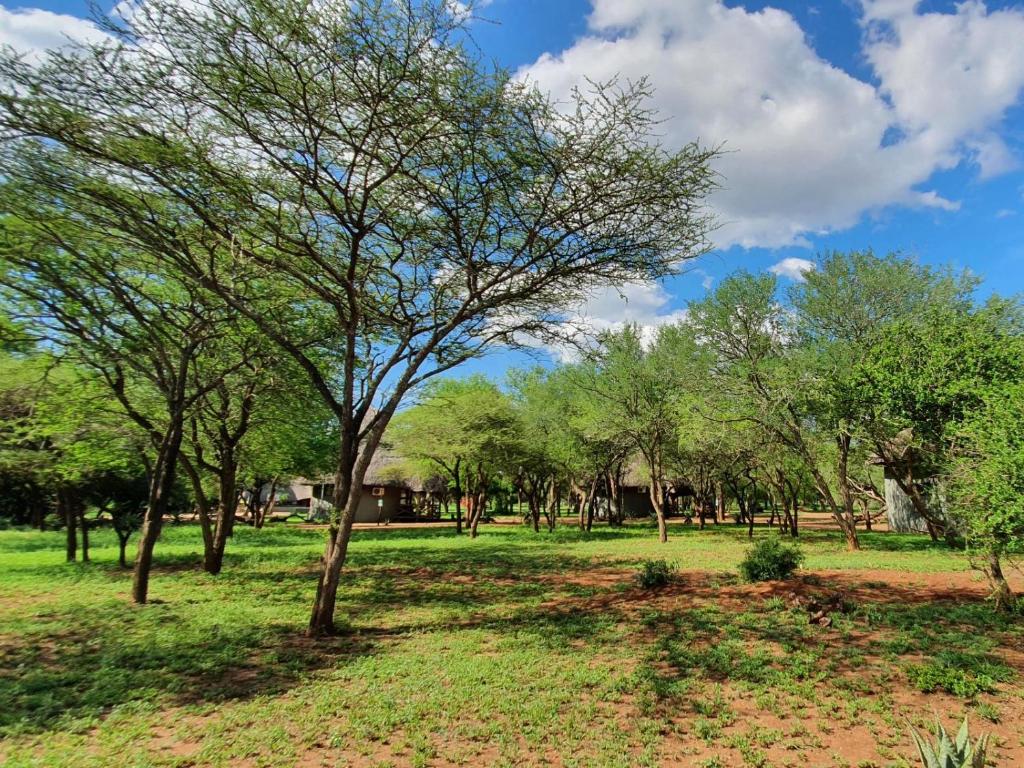 KaMsholo Bushveld Safaris