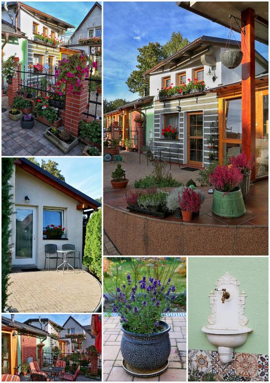 Apartments Emma - 14