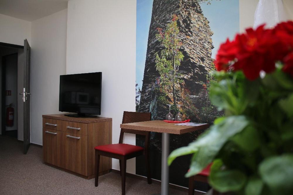 TV a/nebo společenská místnost v ubytování Hotel Pod Radnicí