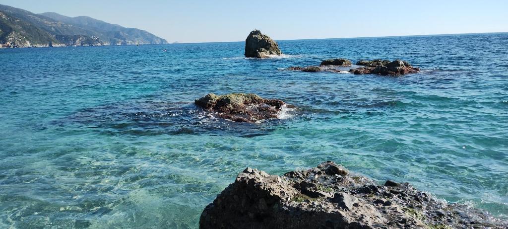 a view of the ocean with rocks in the water at nonna flo in Monterosso al Mare