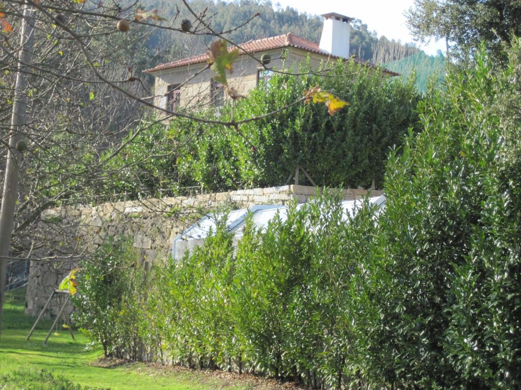 Um jardim no exterior de Hotel Rural Quinta de Novais