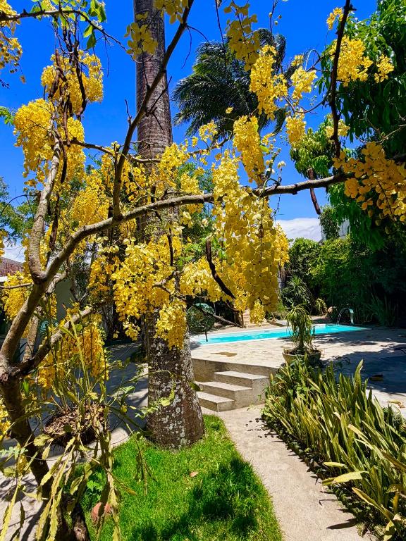 a tree with yellow flowers next to a swimming pool at Suíte 3 - Village Capixaba in Gravatá