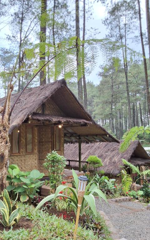 a small house with a grass roof in a forest at ALAMSUKA Cikole in Tangkubanperahu