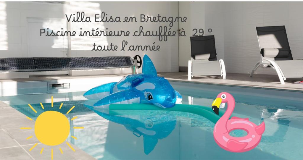 two dolphins swimming in a pool with a swan at Villa ELISA Piscine Intérieure partagée chauffée à 29 degrés à 100m de la plage in Sibiril