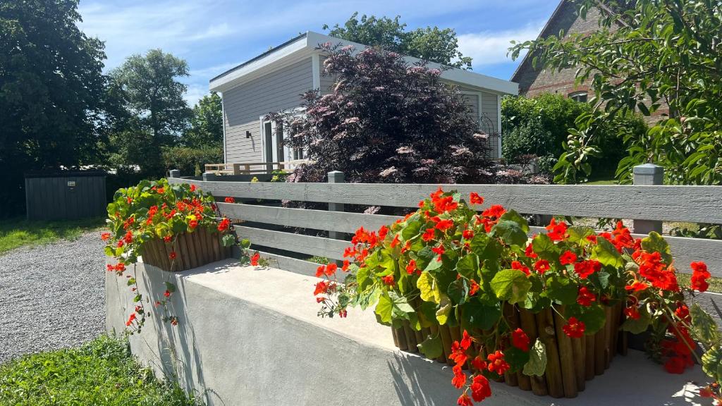 two flower boxes on a fence with red flowers at Villa Vinja in Ystad