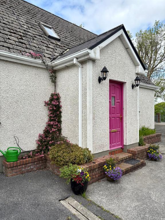 a house with a pink door and some flowers at Ashmore Mews in Galway