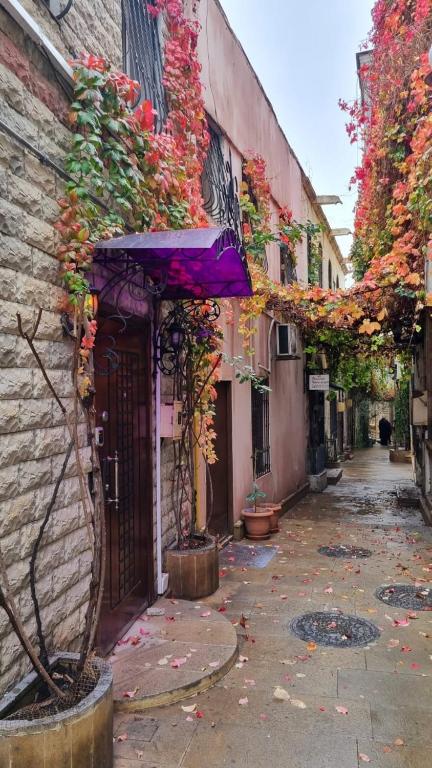 an alley with flowers on the side of a building at Retro Silent Boutique Hotel in Baku