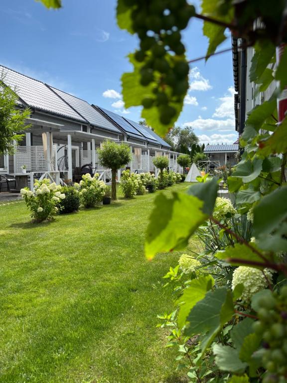 a yard with green grass and bushes at Kwiatowe Domki in Rogowo