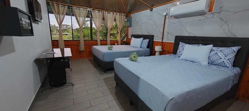 Ballena Rey Hotel - Apartamento Estudio