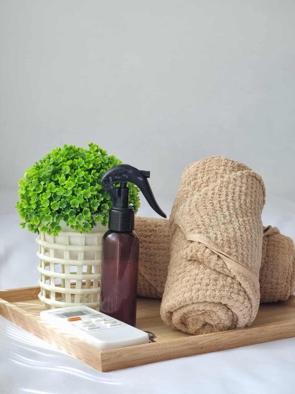 a wooden tray with a bottle of soap and a plant at 953 D shore 1 in Manila