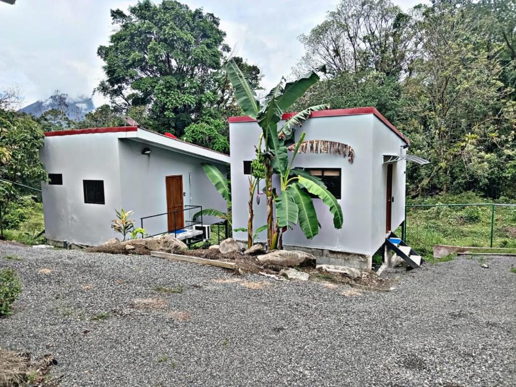 a small white house with a palm tree in front of it at The Chicken House in El Castillo de La Fortuna