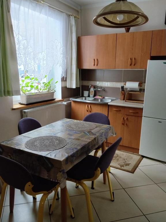 a kitchen with a table with chairs and a refrigerator at Zacisze Sokolec in Ludwikowice Kłodzkie