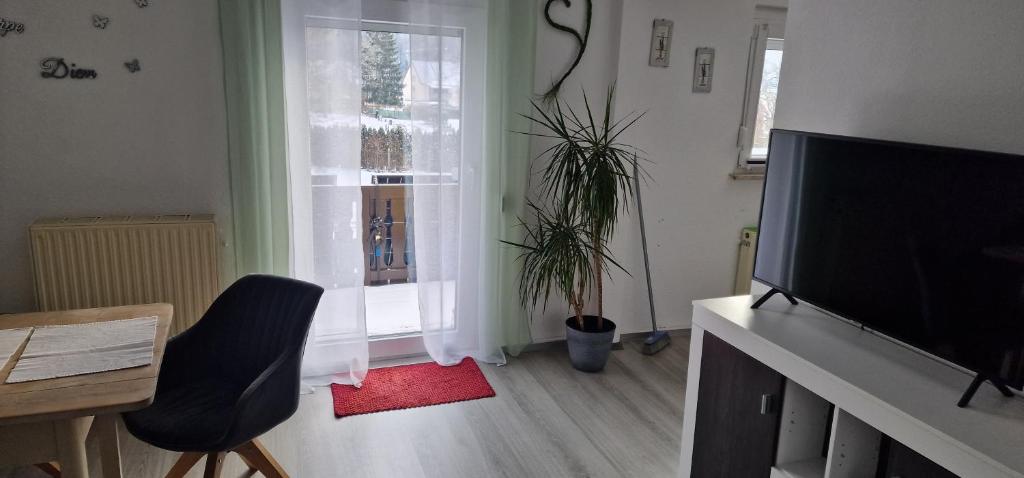 a living room with a television and a window at Bartol in Immendingen