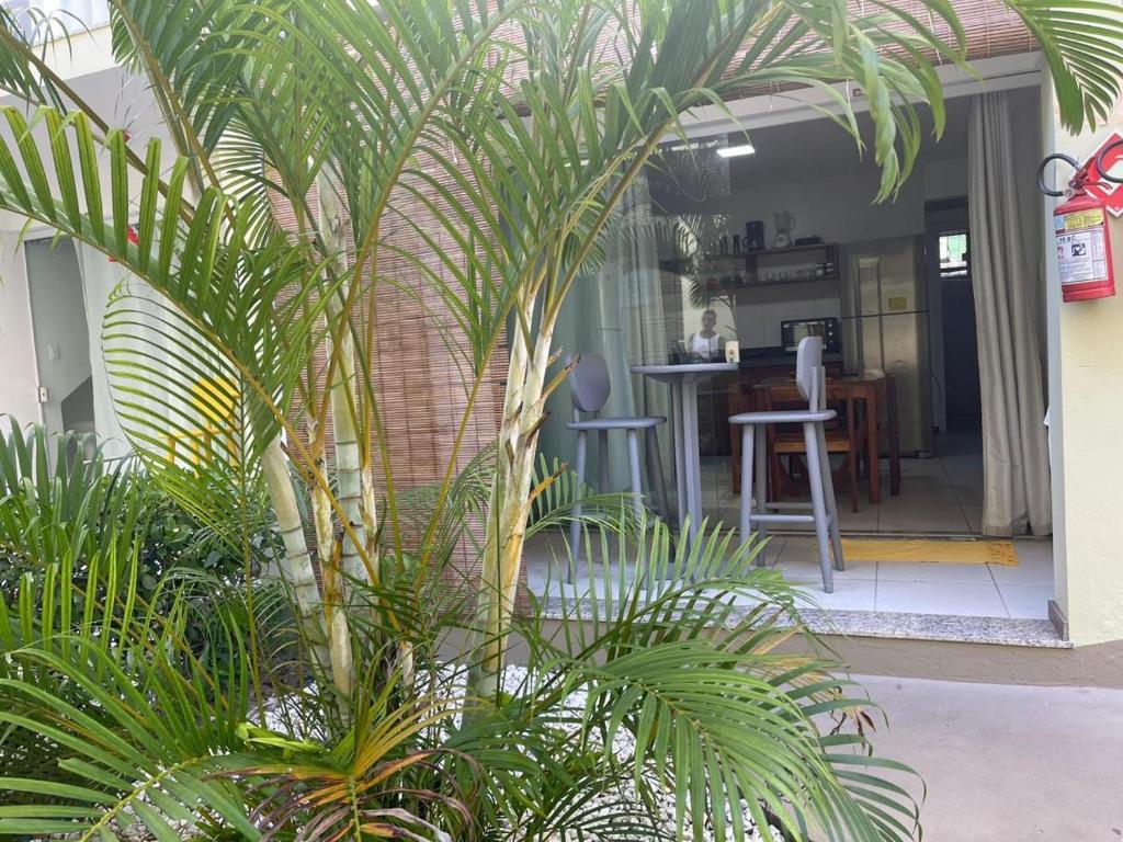 a group of palm trees in front of a house at TRANQUILA CONDO in Morro de São Paulo