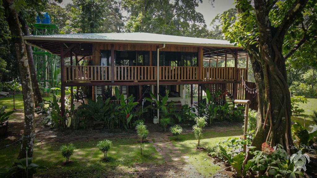 a wooden house with a deck in a garden at Casa Shec- An Oceanfront Jungle Retreat in Drake