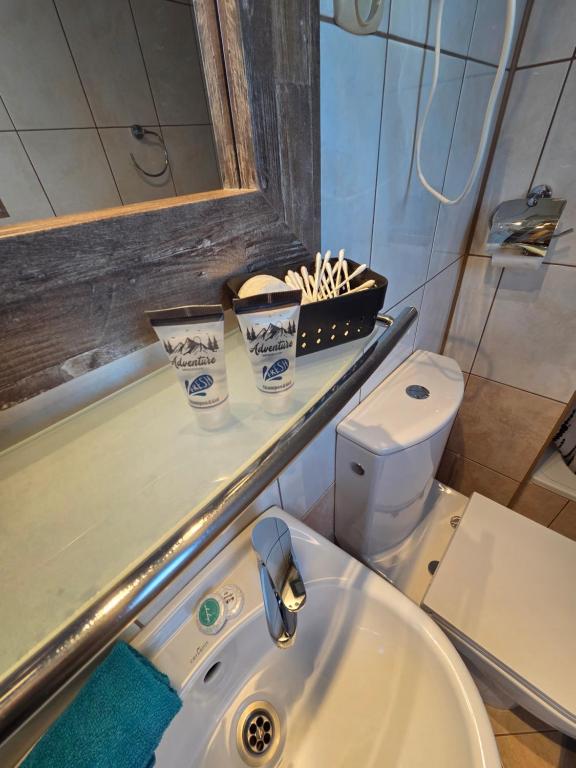 Willa Pod Zielonym Wierchem - 18