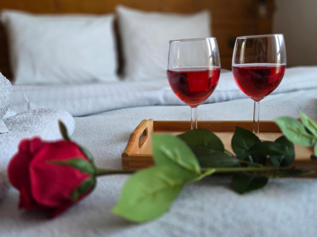 Willa Pod Zielonym Wierchem - 19