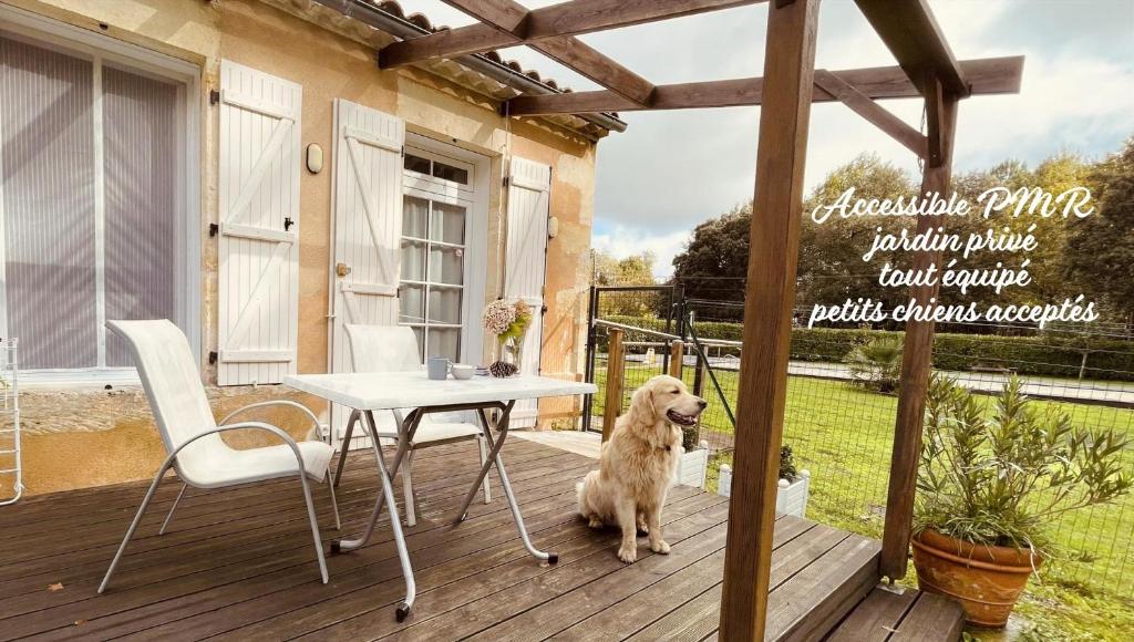 a dog sitting on a deck with a table and chair at Les Gîtes du Domaine de Ludeye in Listrac-Médoc
