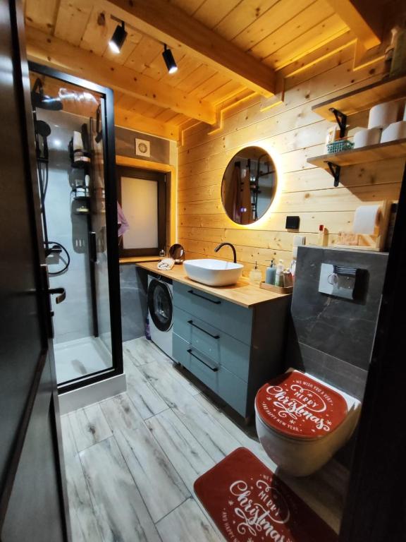 a bathroom with a toilet and a sink and a shower at domek przy Jodłowej in Niesulice