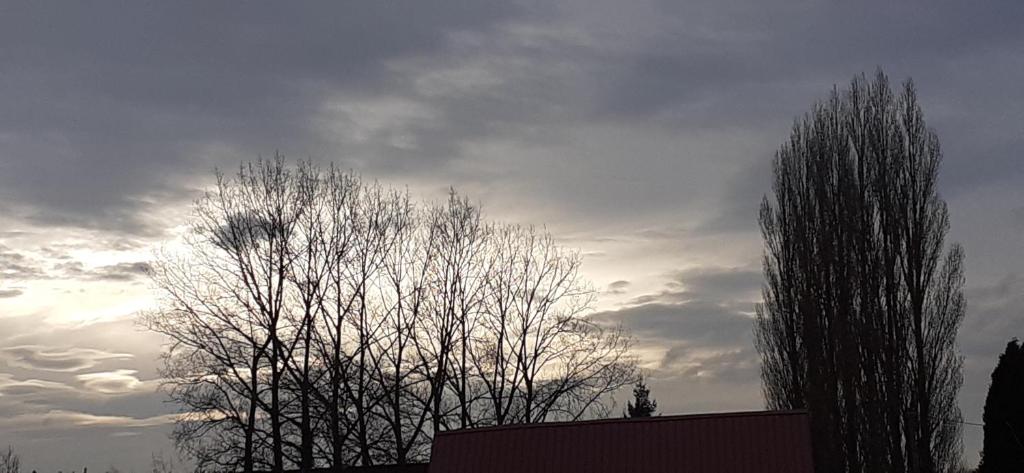 two trees in front of a cloudy sky at Studio du gite in Wavrans-sur-lʼAa