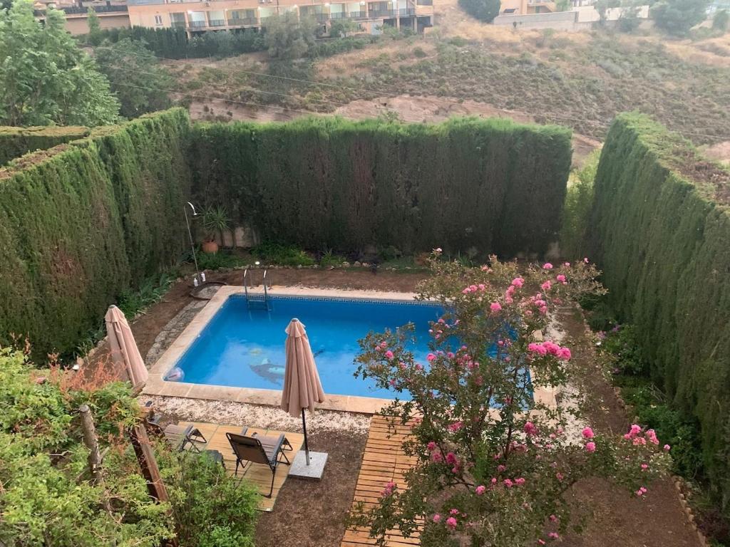 a swimming pool with an umbrella and some bushes at Casa con encanto en Monachil in Monachil