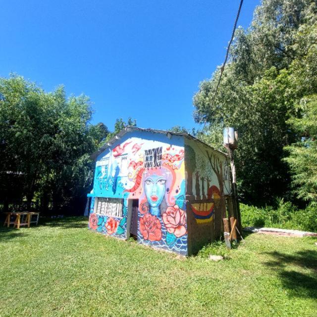 a house covered in graffiti on the grass at Nuevo Ciclo in Tigre
