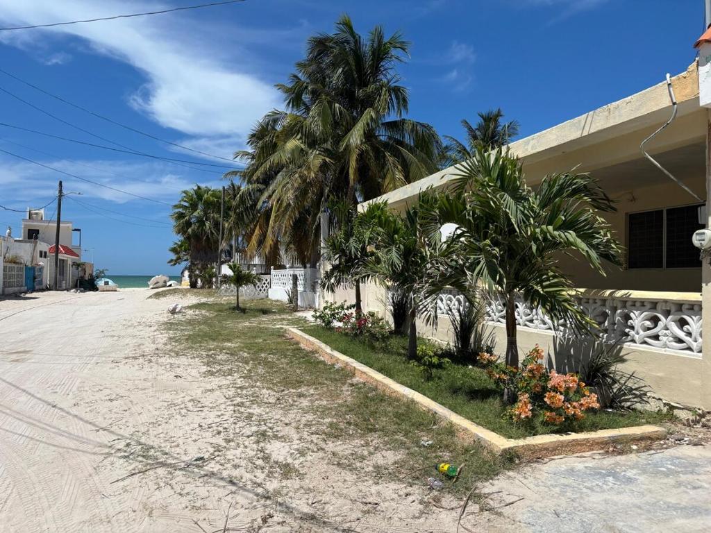 a building with palm trees next to the beach at House 30 meters from the sea in Chicxulub