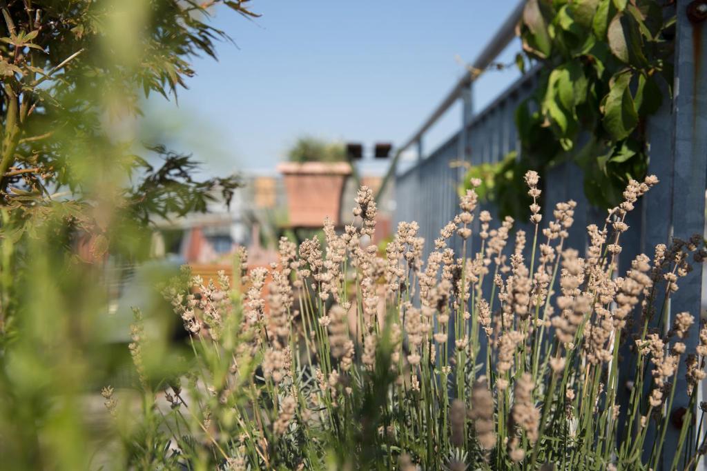 Hotel Art Nouveau am Kurfürstendamm - Resim 22