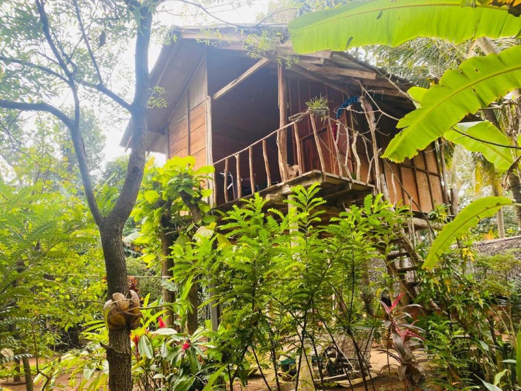 Sigiri Aliya Tree house - 1