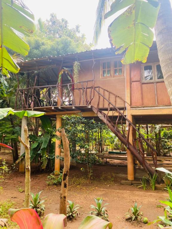 Sigiri Aliya Tree house - 17