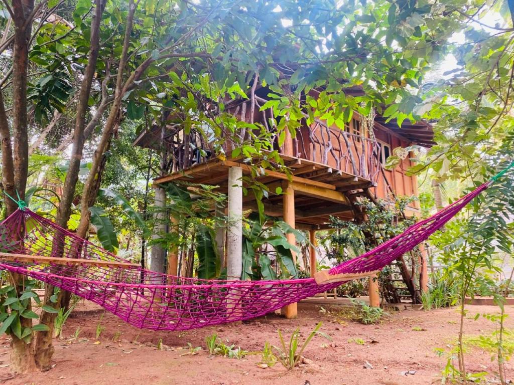 Sigiri Aliya Tree house - 7