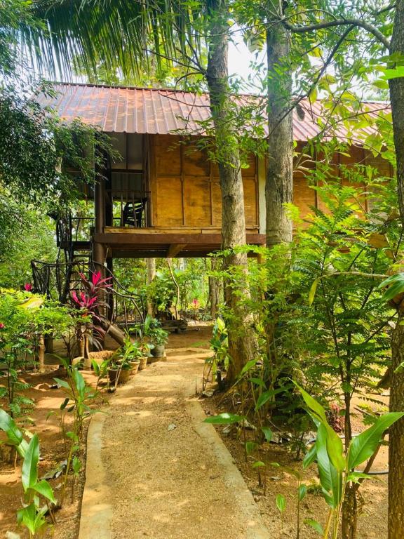 Sigiri Aliya Tree house - 19