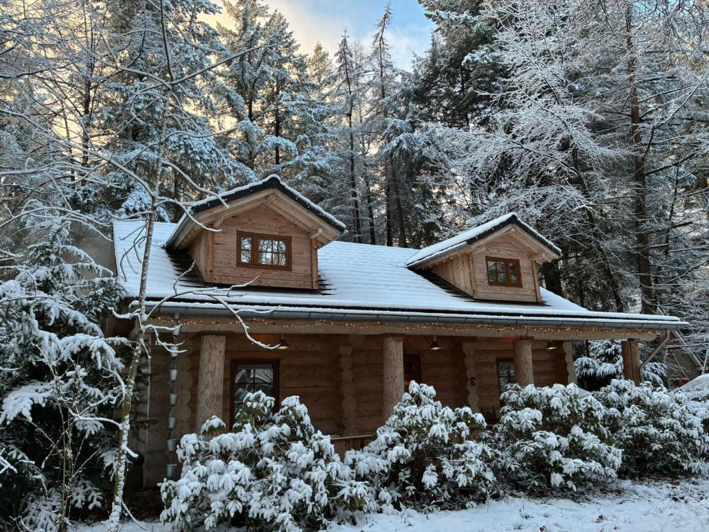 a log cabin with snow on the roof at Vakantiehuis de 7 geweien in Emst