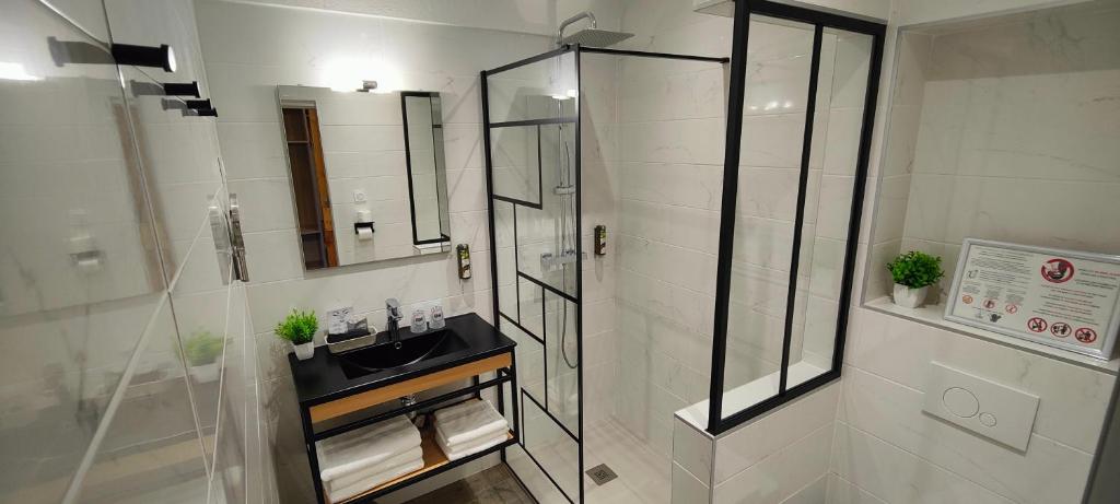 Logis Le Nid du Pont de Gau - 17