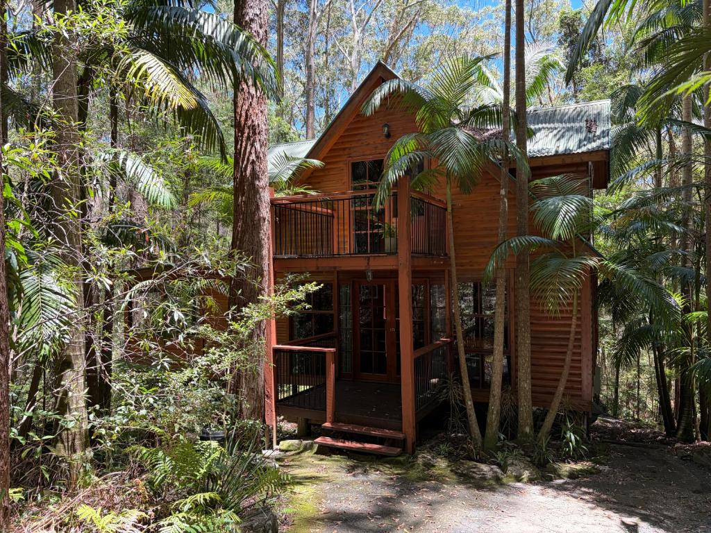 a tree house in the middle of the forest at Springbrook Mountain Chalets in Springbrook